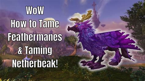 wow tame feathermanes|how to unlock feathermane taming.